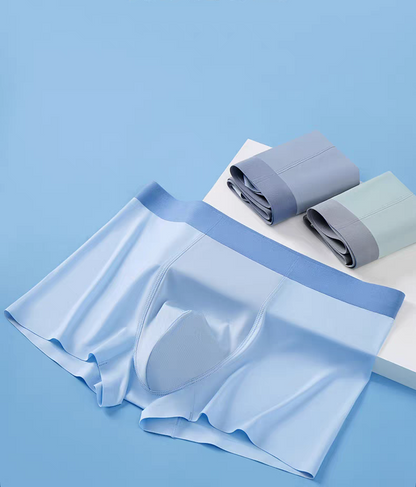 Men's Ice Silk Briefs Boxers _ Buy 1 Get 2 Free